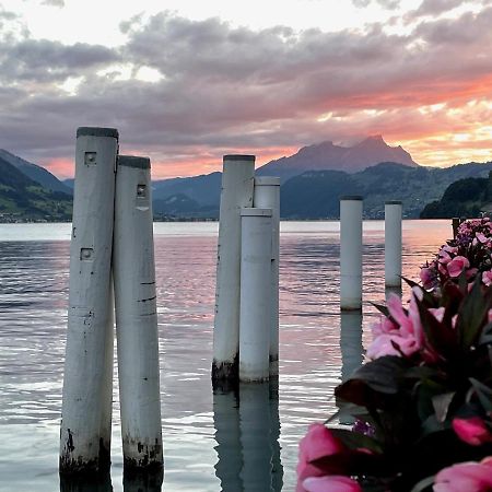 Ferienwohnungen Mit 4 Betten In Gersau Direkt Am Vierwaldstaettersee Dış mekan fotoğraf