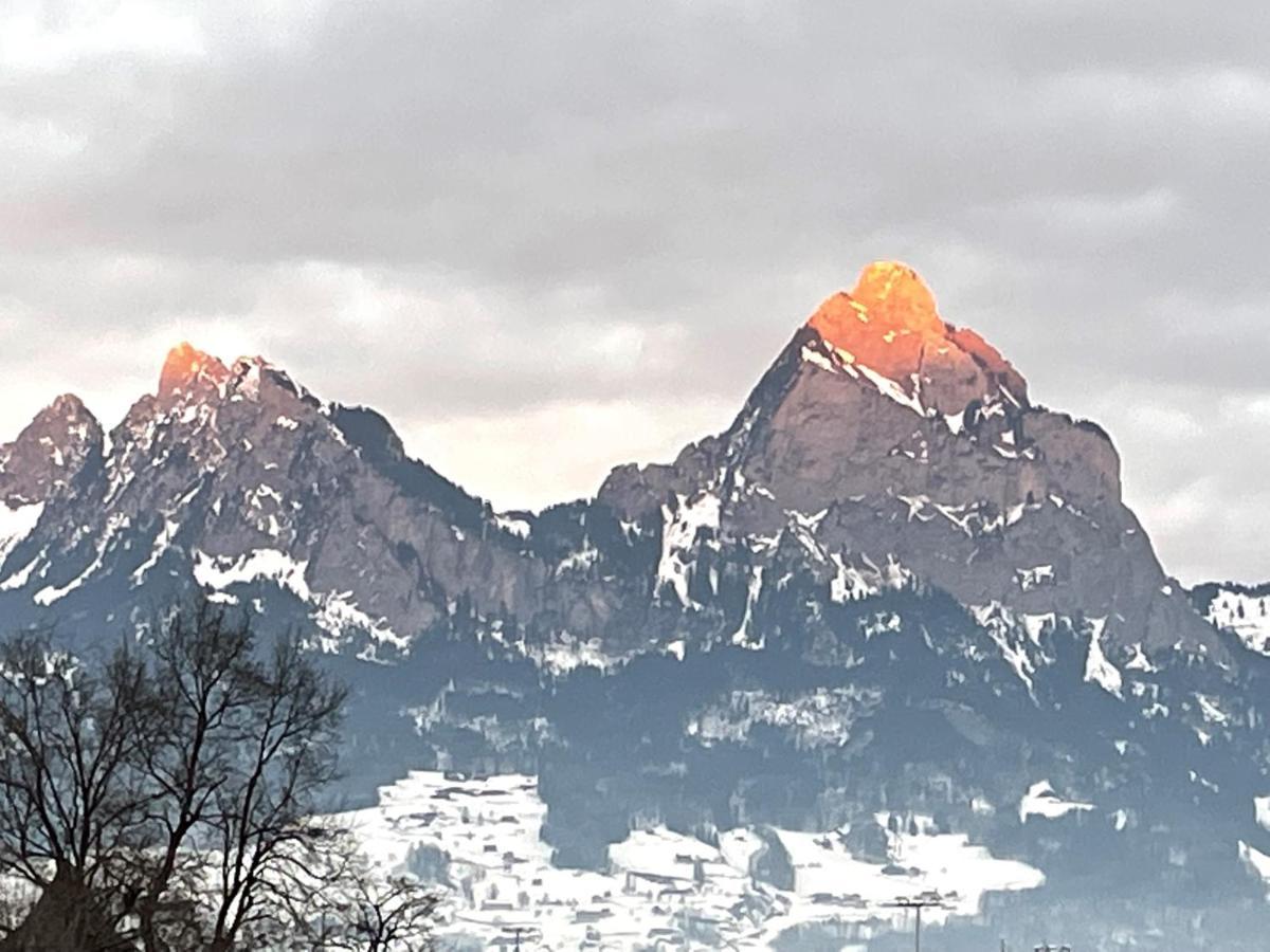 Ferienwohnungen Mit 4 Betten In Gersau Direkt Am Vierwaldstaettersee Dış mekan fotoğraf