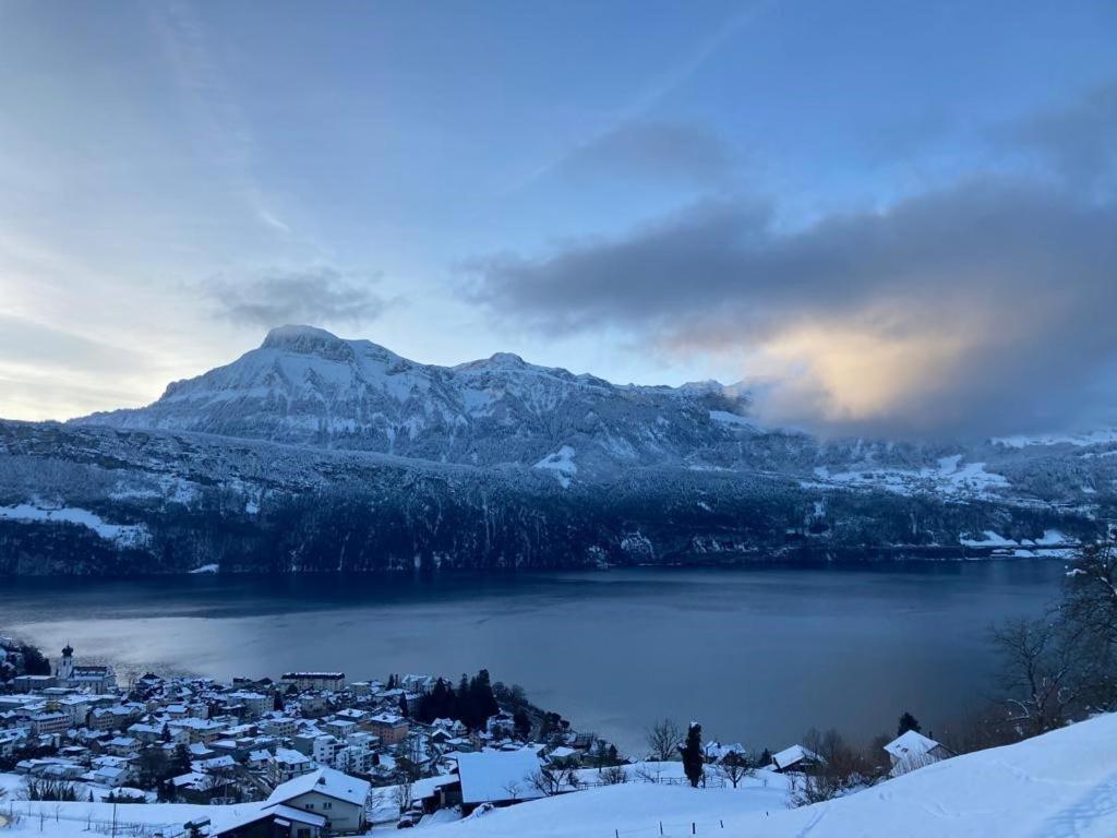 Ferienwohnungen Mit 4 Betten In Gersau Direkt Am Vierwaldstaettersee Dış mekan fotoğraf
