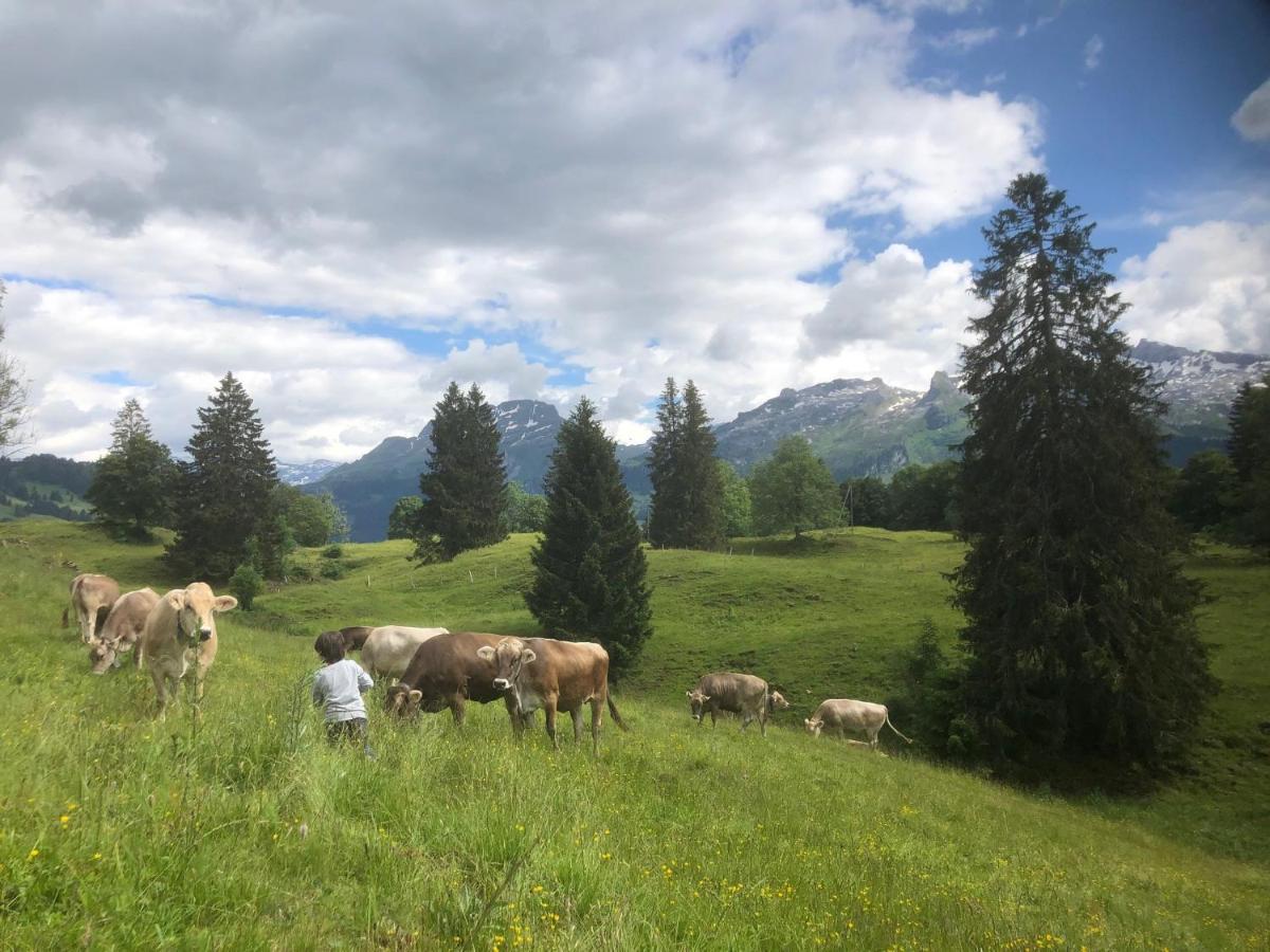 Ferienwohnungen Mit 4 Betten In Gersau Direkt Am Vierwaldstaettersee Dış mekan fotoğraf