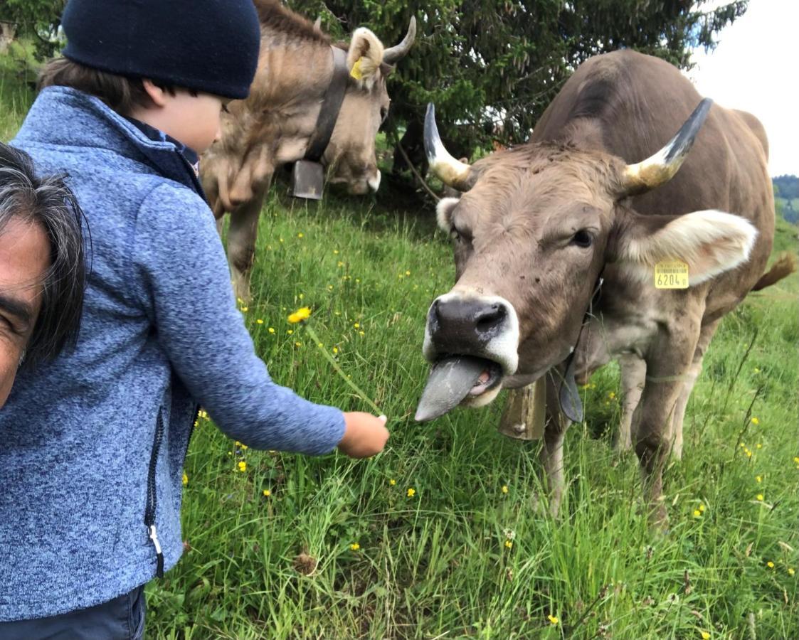 Ferienwohnungen Mit 4 Betten In Gersau Direkt Am Vierwaldstaettersee Dış mekan fotoğraf