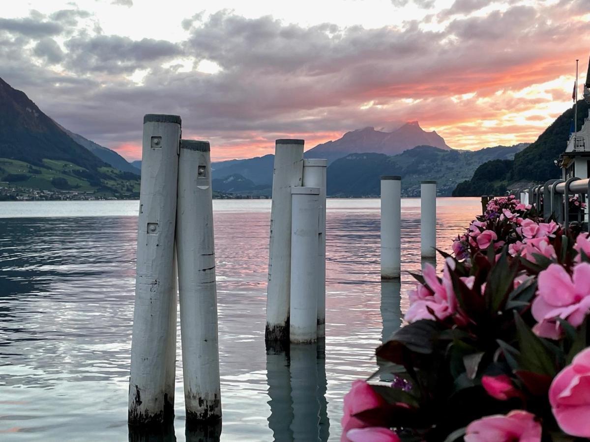 Ferienwohnungen Mit 4 Betten In Gersau Direkt Am Vierwaldstaettersee Dış mekan fotoğraf